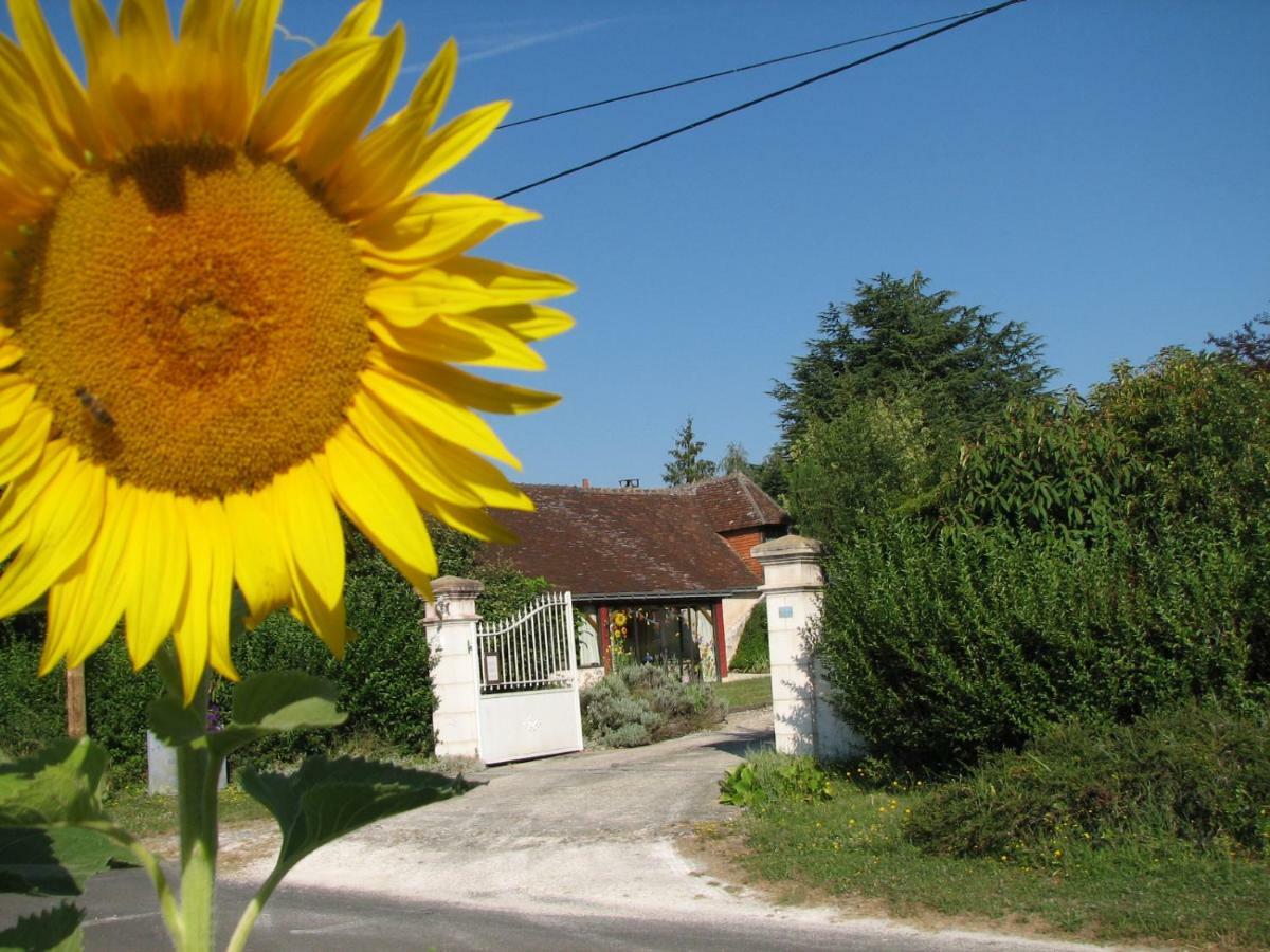 Le Clos Du Petit Marray Bed & Breakfast Chambourg-sur-Indre Exterior foto